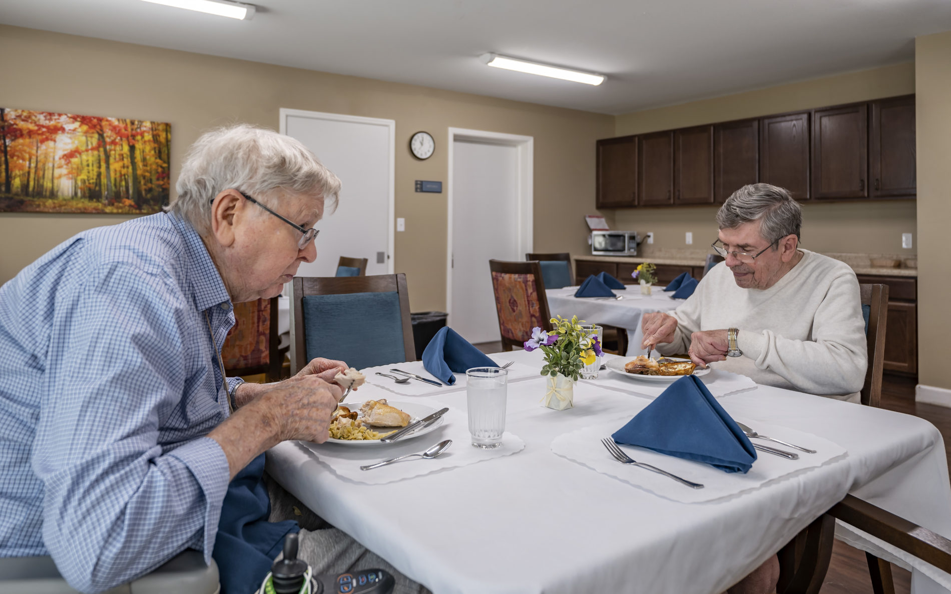 Two senior men eating together